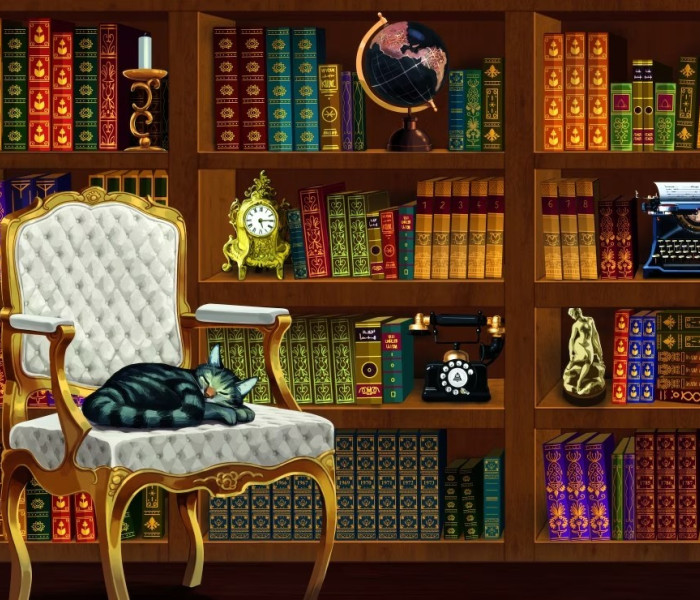 Puzzle - Bluebird - Stará knihovna