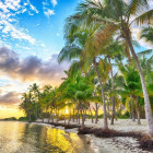 Puzzle - Bluebird - Guadeloupe - pláž Anse Champagne