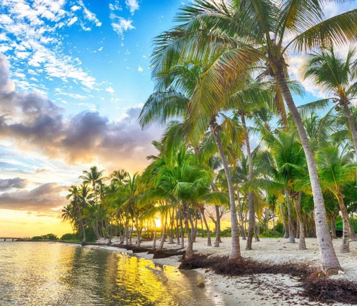 Puzzle - Bluebird - Guadeloupe - pláž Anse Champagne