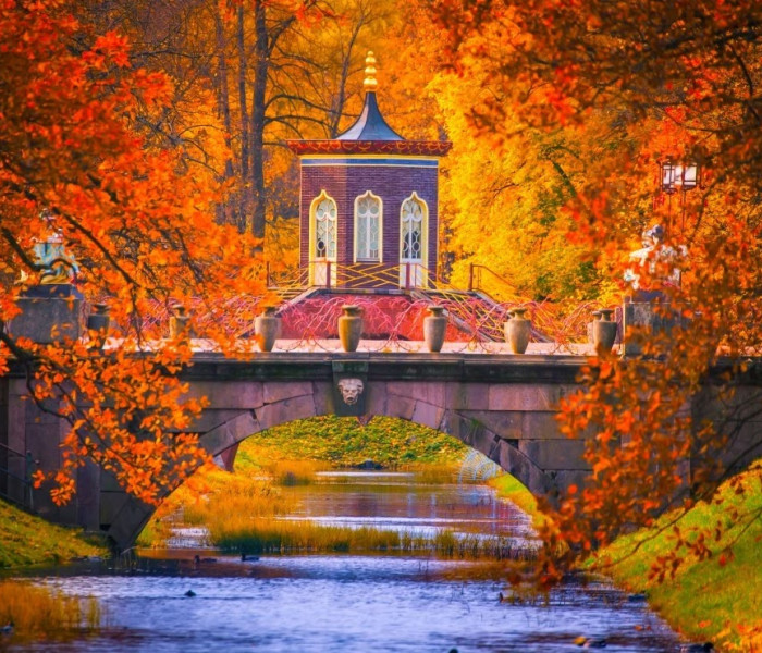 Puzzle - Bluebird - Kateřinský park, Puškin, Rusko