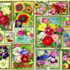 Puzzle - Bluebird - Obrázky květin