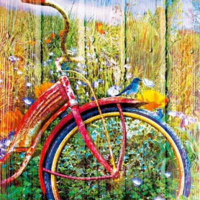 Modří ptáčci na kole