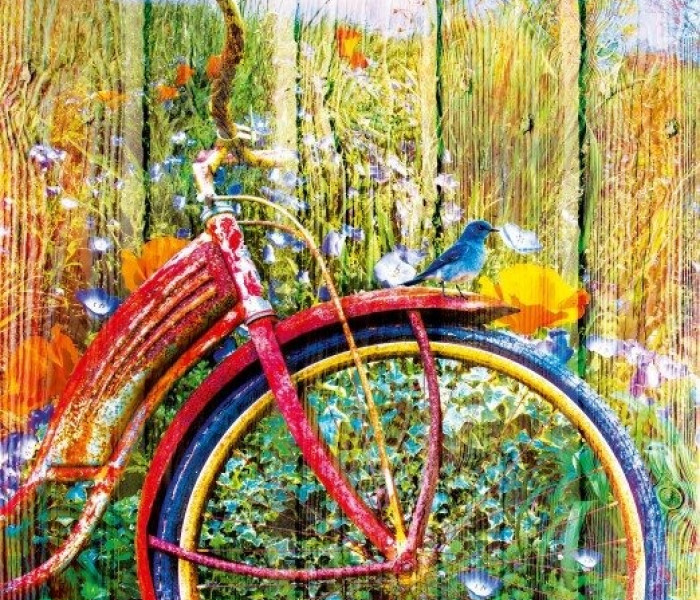 Puzzle - Bluebird - Modří ptáčci na kole