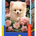 Puzzle - Castorland - Pomeranian štěně v růžích