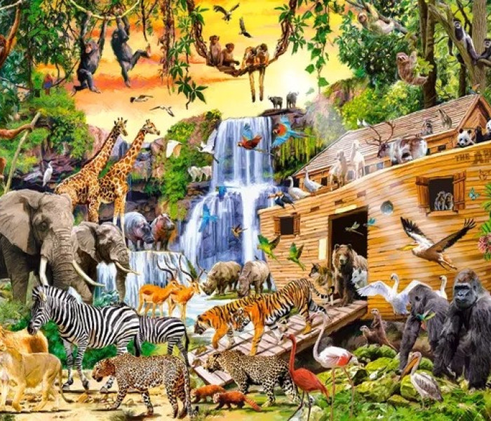 Puzzle - Castorland - Archa