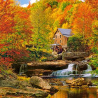 Puzzle - Castorland - Magický podzim