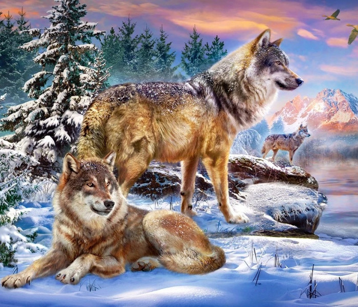 Puzzle - Castorland - Vlčí říše divů