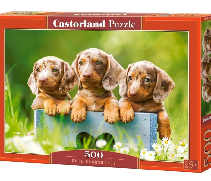 Puzzle - Castorland - Roztomilí jezevčíci