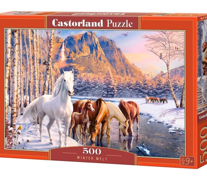 Puzzle - Castorland - Zimní tání