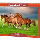 Puzzle - Castorland - Koně v jarní horečce