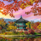 Puzzle - Castorland - Palác Gyeongbokgung, Soul, Jižní Korea