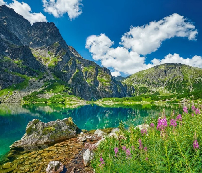 Puzzle - Castorland - Czarny Staw pod Rysami, Tatry, Polsko