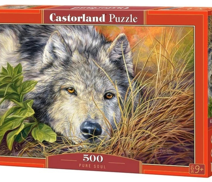 Puzzle - Castorland - Čistá duše