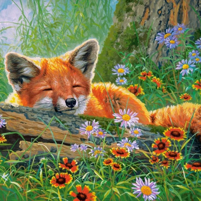 Foxy Dreams