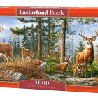 Puzzle - Castorland - Královská rodina jelenů