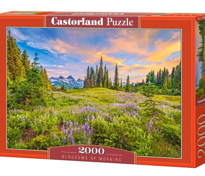 Puzzle - Castorland - Květy rána