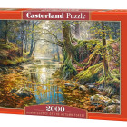 Puzzle - Castorland - Vzpomínka na podzimní les