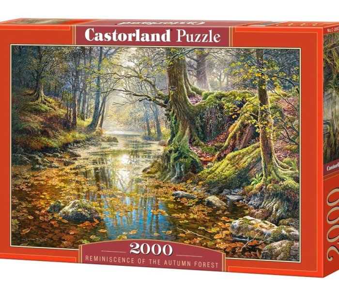 Puzzle - Castorland - Vzpomínka na podzimní les