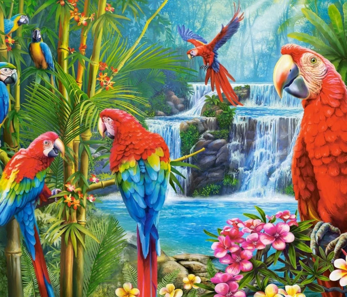 Puzzle - Castorland - Setkání papoušků