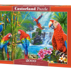 Puzzle - Castorland - Setkání papoušků