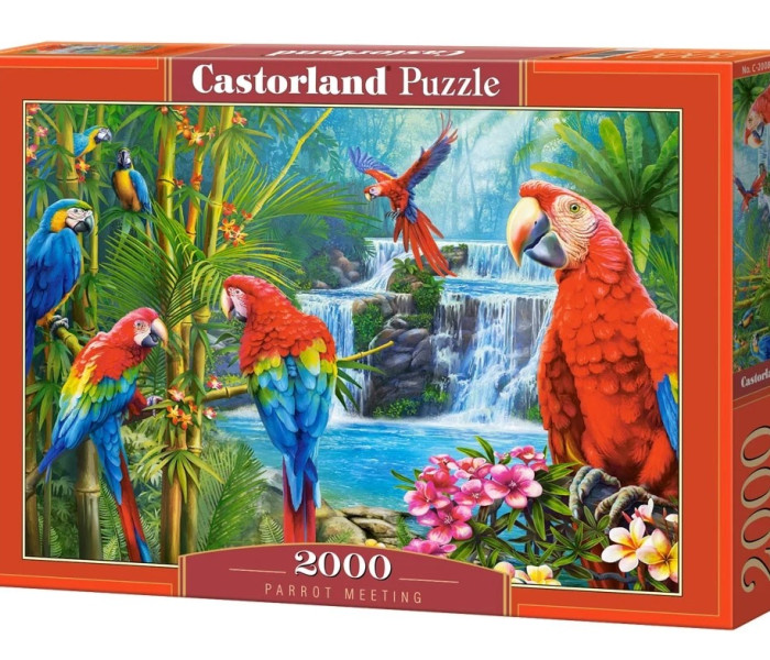 Puzzle - Castorland - Setkání papoušků