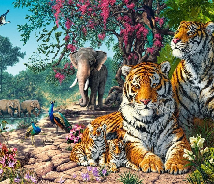 Puzzle - Castorland - Tygří rezervace