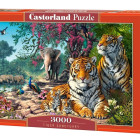 Puzzle - Castorland - Tygří rezervace