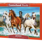 Puzzle - Castorland - Volání přírody