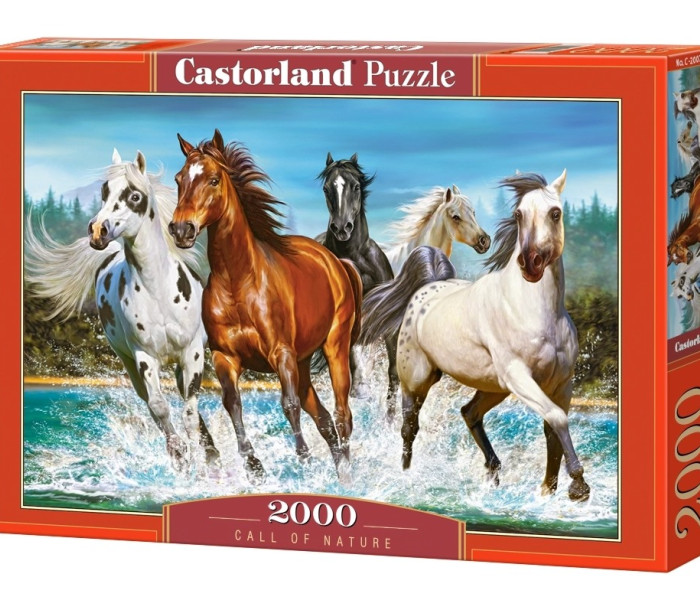 Puzzle - Castorland - Volání přírody
