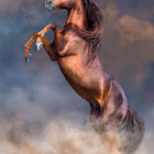 Puzzle - Clementoni - Velký červený hřebec