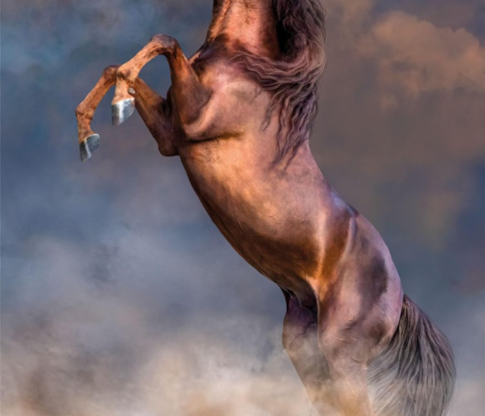 Puzzle - Clementoni - Velký červený hřebec