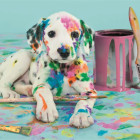 Puzzle - Clementoni - Legrační dalmatin