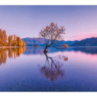 Puzzle - Clementoni - Jezero Wanaka, Nový Zéland - Panoramatické puzzle