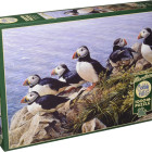 Puzzle - Cobble Hill - Jasný den