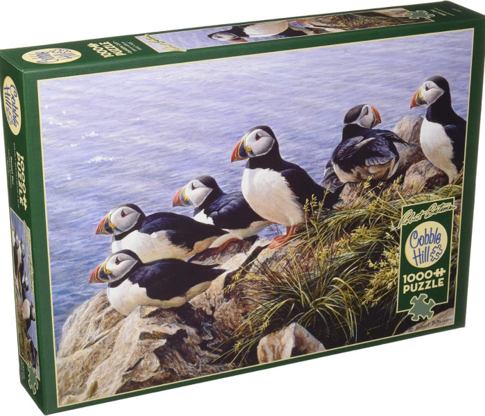 Puzzle - Cobble Hill - Jasný den