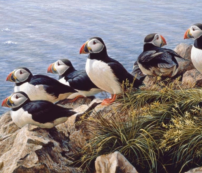 Puzzle - Cobble Hill - Jasný den