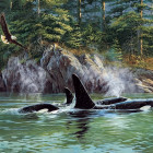 Puzzle - Cobble Hill - Kosatky