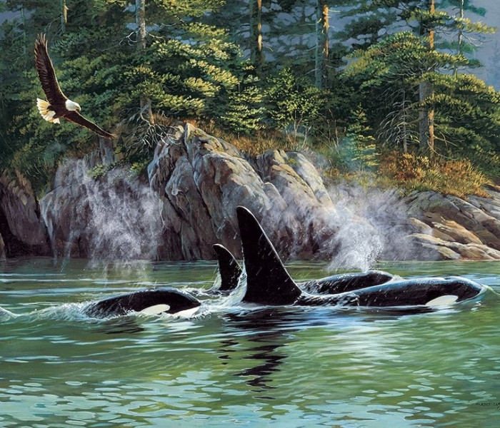 Puzzle - Cobble Hill - Kosatky