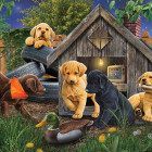 Puzzle - Cobble Hill - U psí boudy