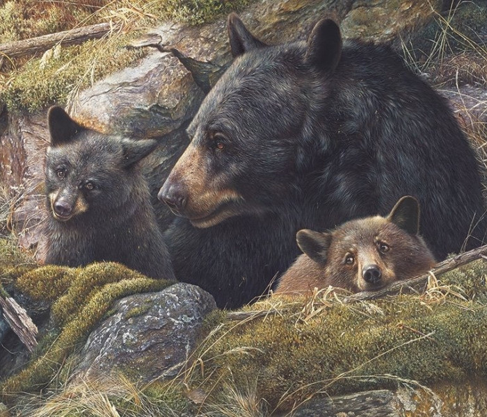 Puzzle - Cobble Hill - Dvojnásobná láska