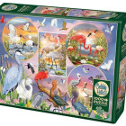 Puzzle - Cobble Hill - Okouzlující vodní ptáci