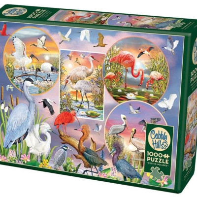 Okouzlující vodní ptáci