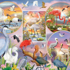 Puzzle - Cobble Hill - Okouzlující vodní ptáci