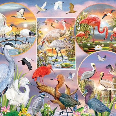 Okouzlující vodní ptáci