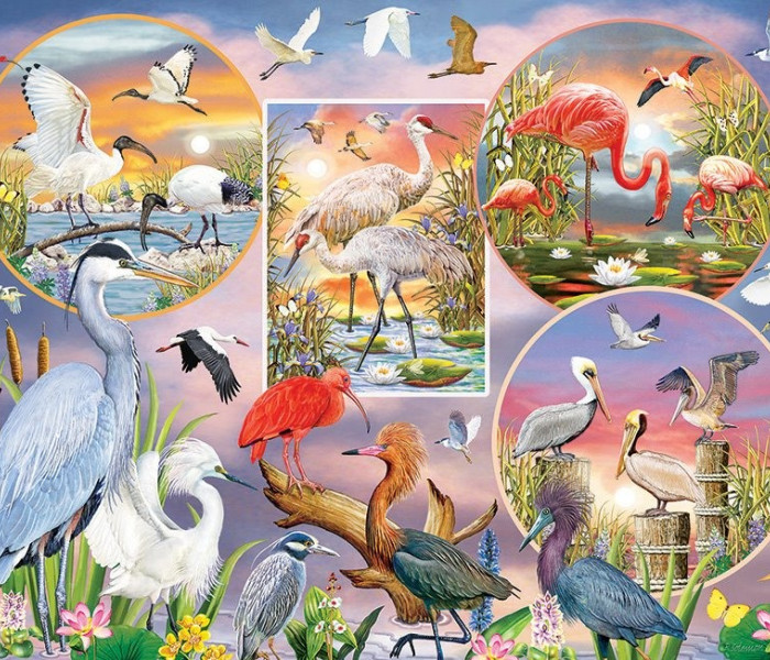 Puzzle - Cobble Hill - Okouzlující vodní ptáci