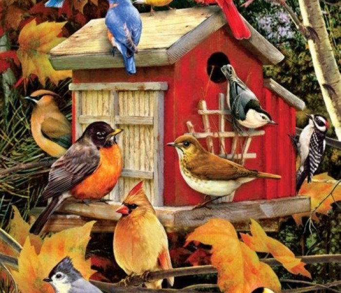 Puzzle - Cobble Hill - Ptačí budka na podzim