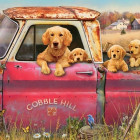 Puzzle - Cobble Hill - Farma