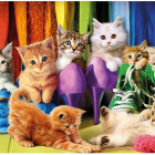 Puzzle - Dino - Barevná Koťátka