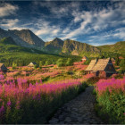 Puzzle - Dino - Gaseinicova dolina