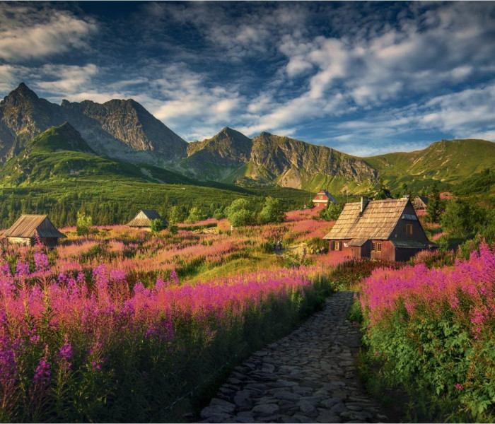 Puzzle - Dino - Gaseinicova dolina